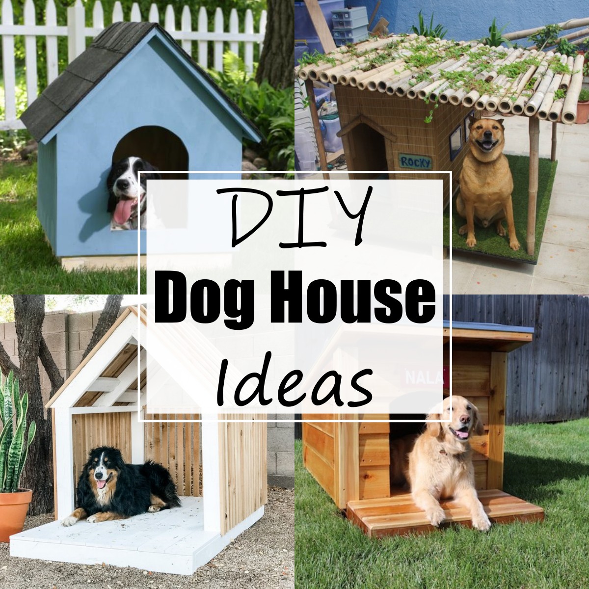 20 DIY Dog House Ideas For Pet's Living All Sands