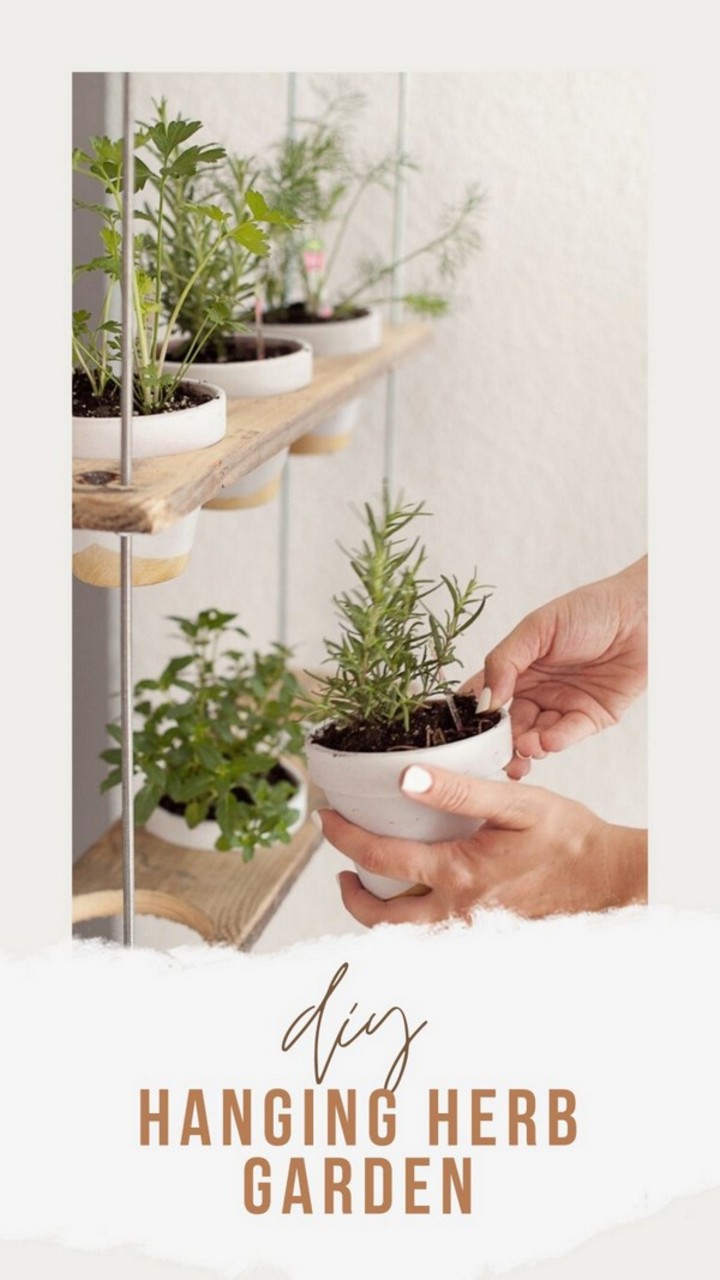 28 DIY Hanging Herb Garden Ideas For Your Home - All Sands