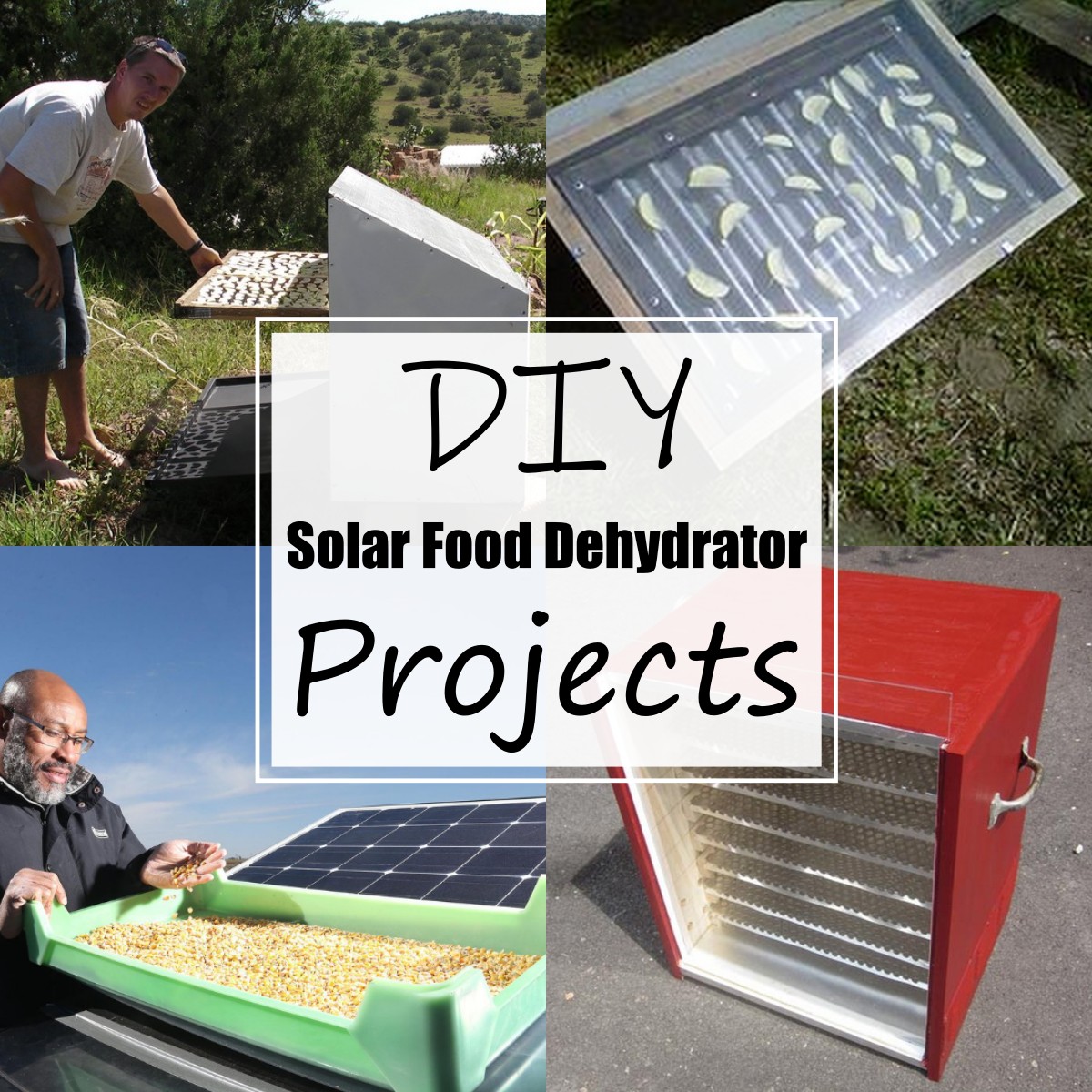 14 Best DIY Solar Food Dehydrator Projects - All Sands