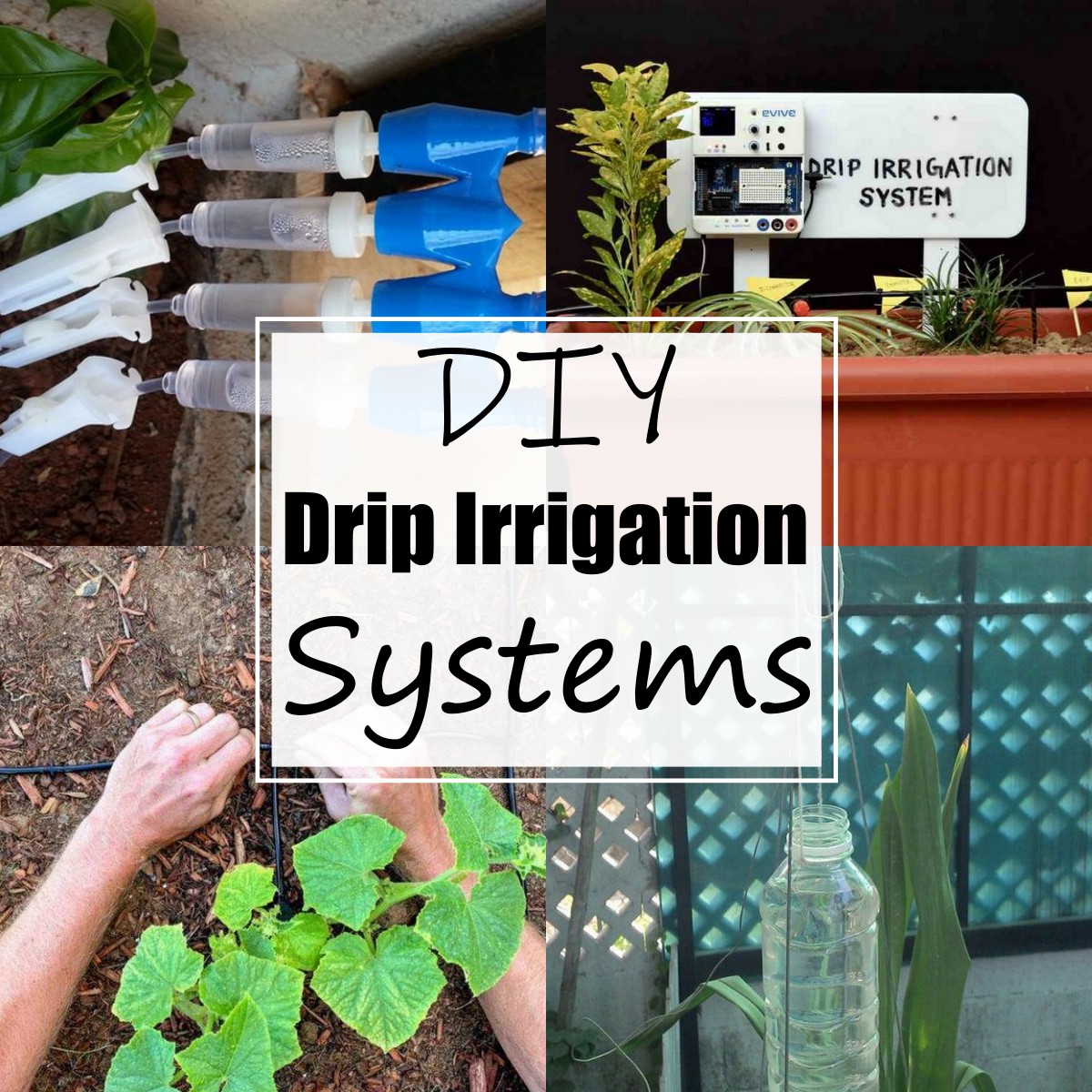 18 Best DIY Drip Irrigation System For Garden All Sands