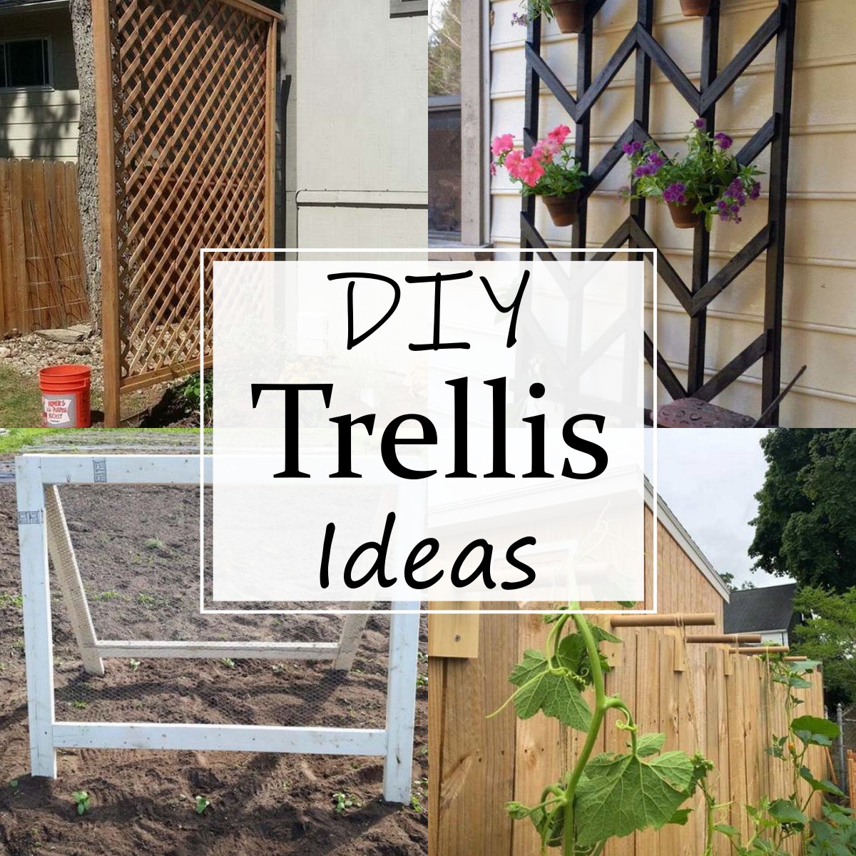 33 DIY Trellis Ideas For Vertical Gardening All Sands